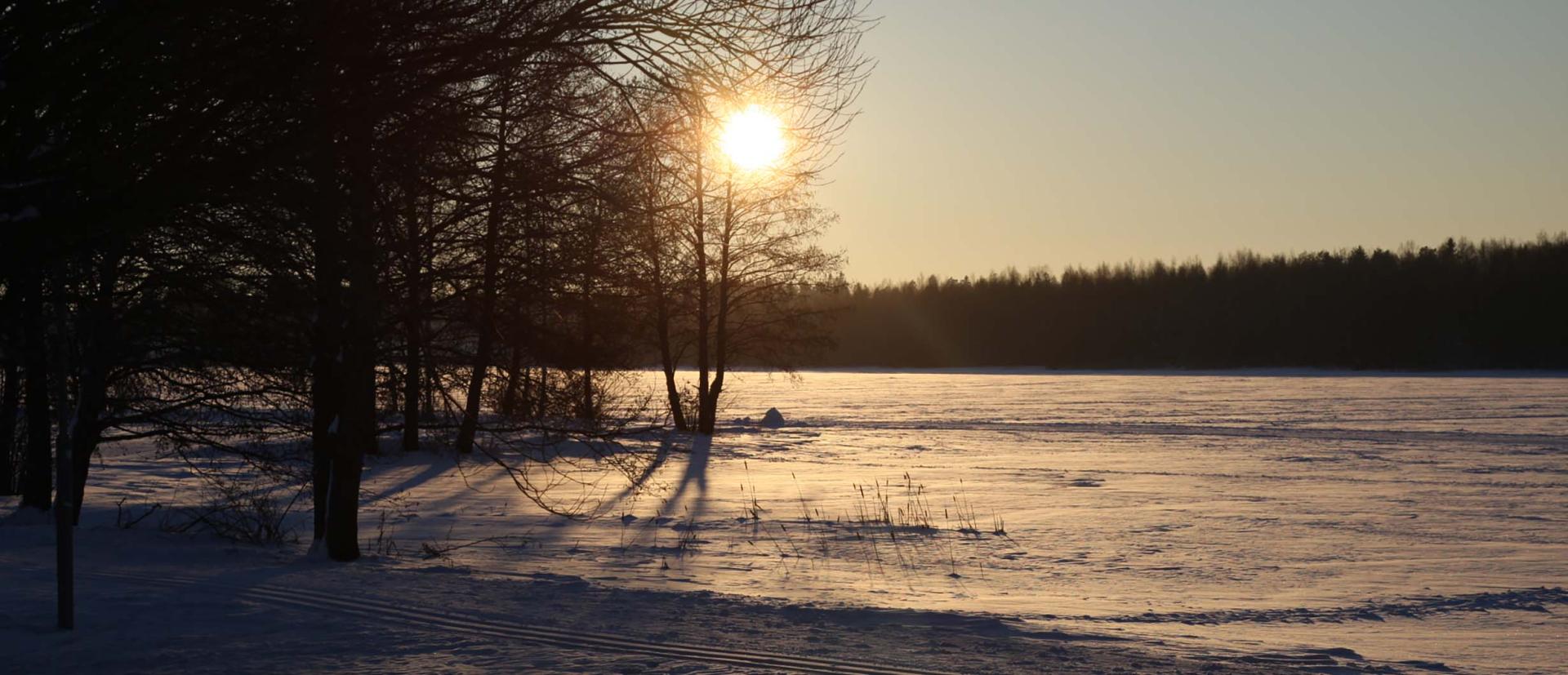 Solnedgång över snöiga ängar och träd.
