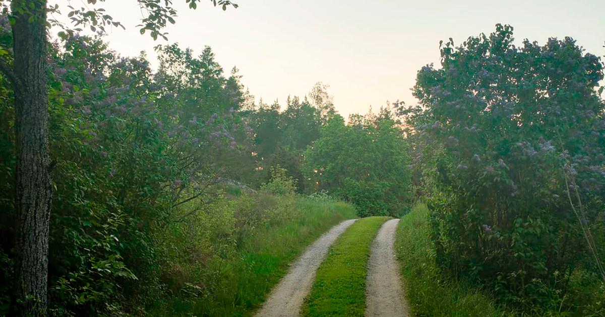 Hiekkatie joka kaartaa kauniissa kes&auml;isess&auml; maisemassa.