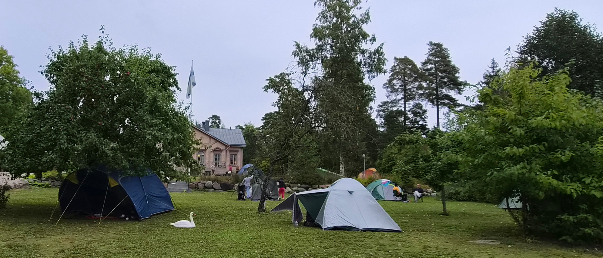 Ryhmä telttoja pihanurmikolla