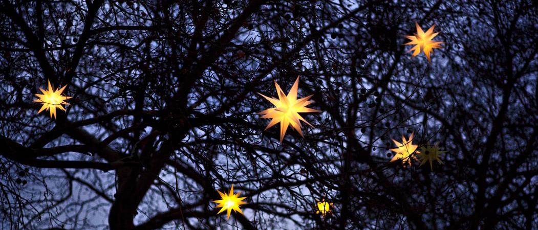 Valaistuja tähtiä pimeässä puussa.
