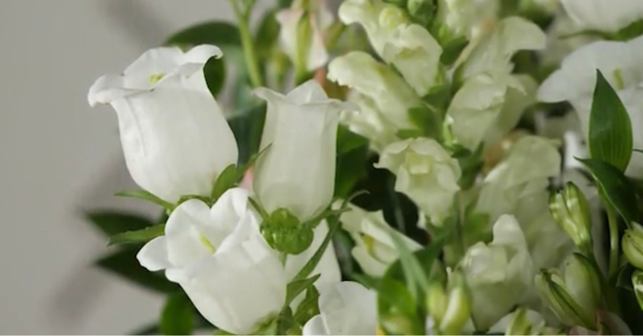 Valkoisia kukkia Vuosaaren kirkon alttarilla.